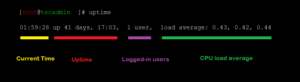 Uptime Command In Linux A Quick Reference Guide