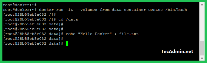 docker run image with volume