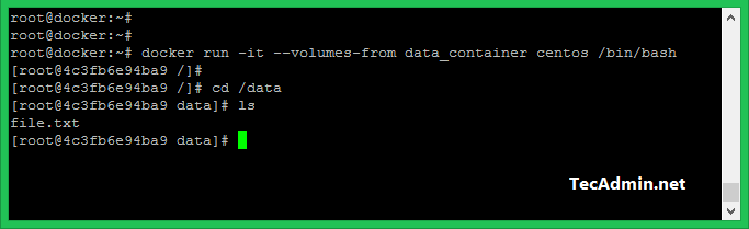 Docker Data Volumes TecAdmin