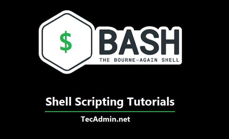 bash find file in directory with extension
