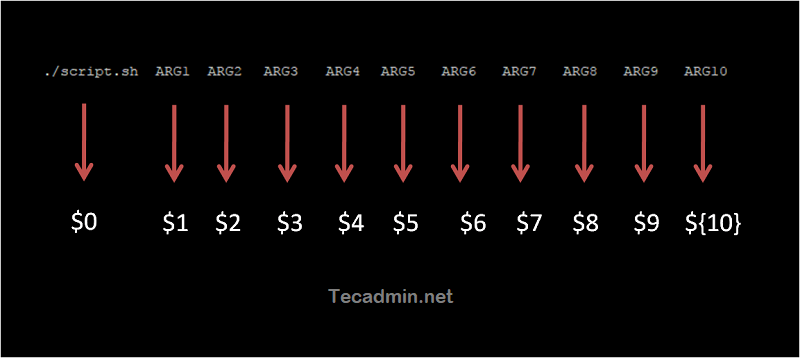 Command Line Arguments In Linux Shell Scripts TecAdmin