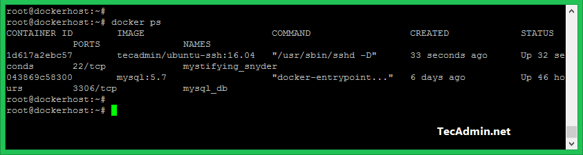 docker-tutorial-basics-of-the-docker-run-command-youtube