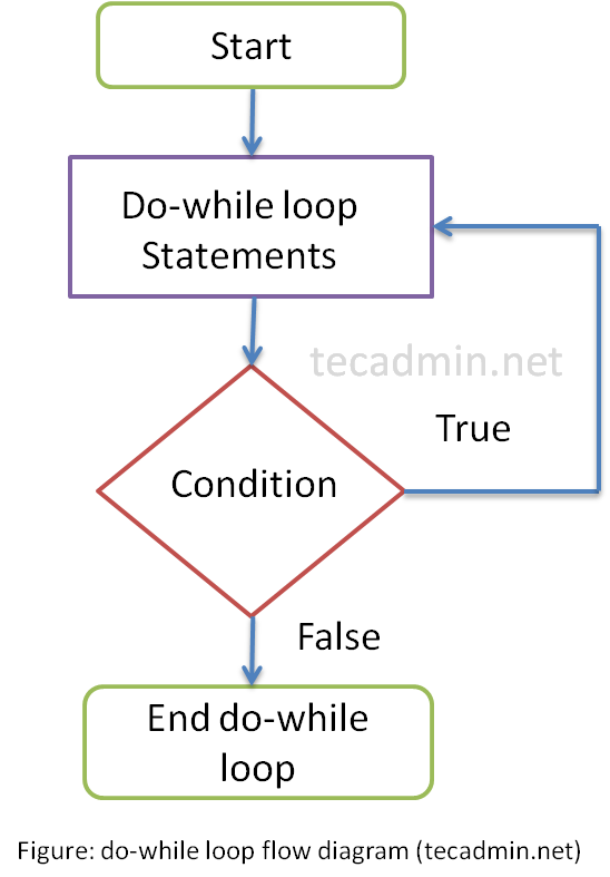 How Does A While Loop Start