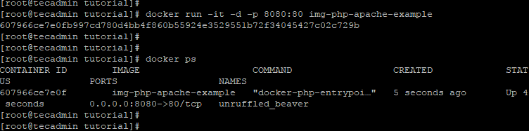 Run Apache PHP Docker Container