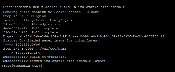 docker run image in shell