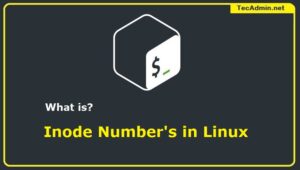 What is inode number in Linux – TecAdmin