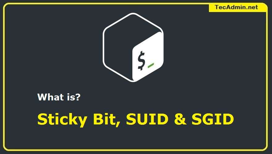 What Is Sticky Bit SUID And SGID In Linux TecAdmin