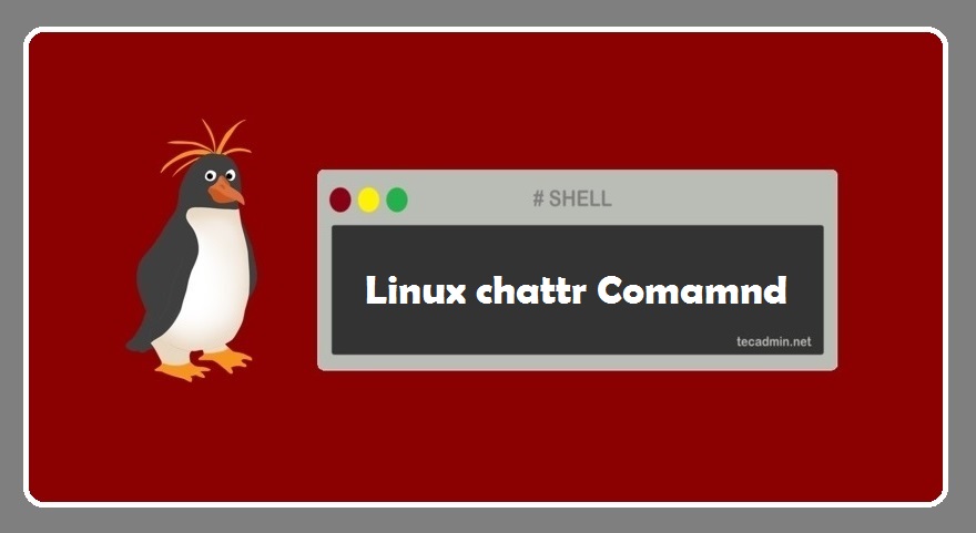 Chattr Command In Linux With Examples TecAdmin