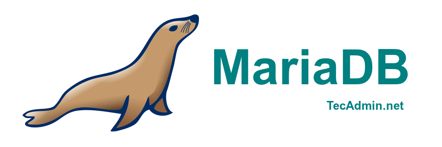 How To Install MariaDB on Ubuntu 18 04   TecAdmin - 35