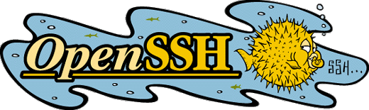 Install or Update OpenSSH on Debian