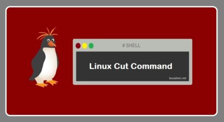 Cut Command in Linux with Examples