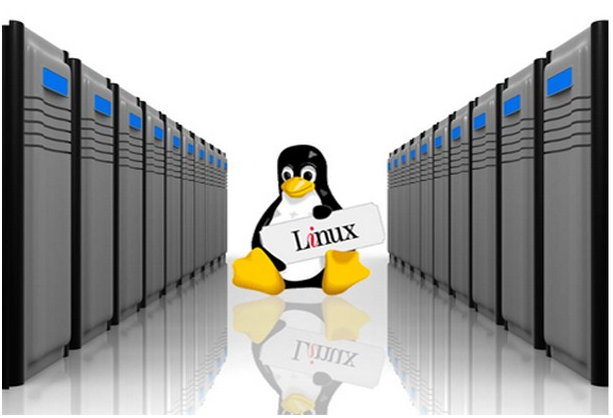 cheap Linux VPS hosting