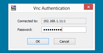 pass default vnc server