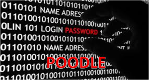 poodle-openssl