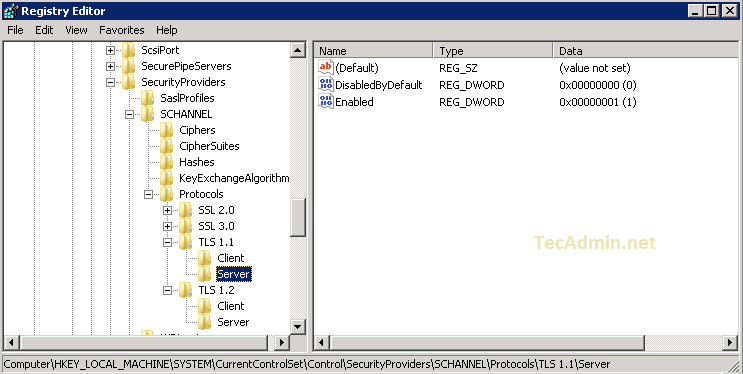 .net framework tls versions