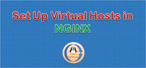 SetUp Nginx Virtual Hosts