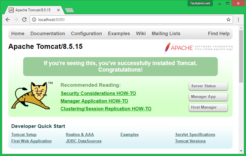 apache tomcat 8