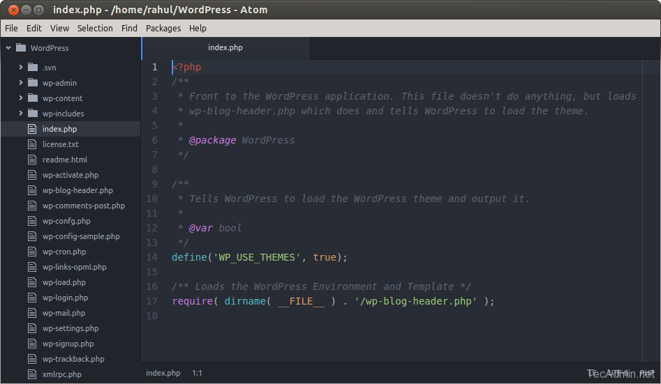 Atom-Text-Editor