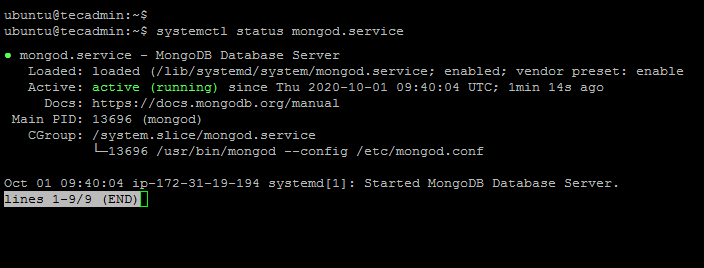 Installing Mongodb on Ubuntu