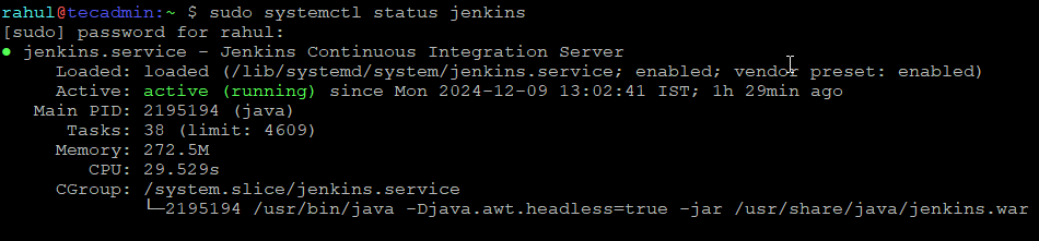 Installing Jenkins on Ubuntu 24.04