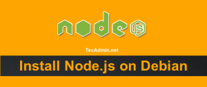 Install Latest NodeJs & NPM on Debian