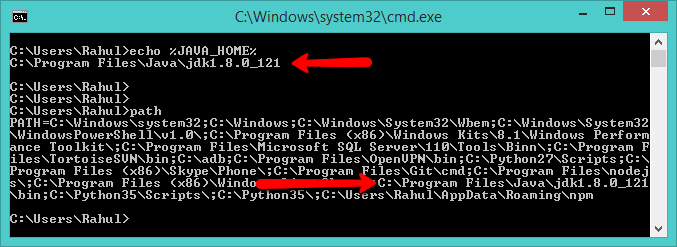 check java_home windows 10