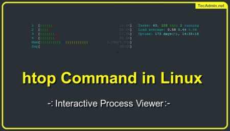 htop Command in Linux