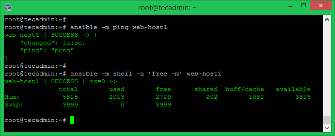 How To Install and Configure Ansible on Ubuntu 20 04   TecAdmin - 4