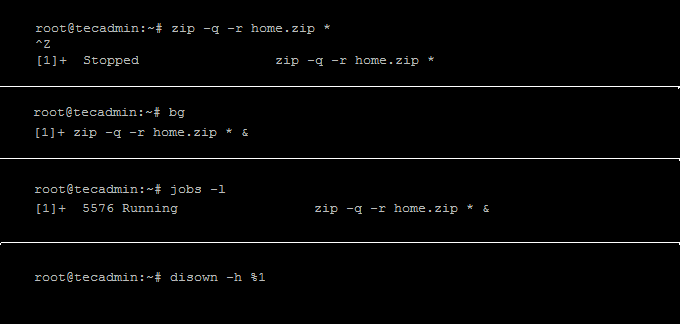 How to close terminal without killing running processes on Linux   TecAdmin - 62