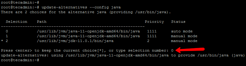 How To Install Java on Debian 10  Buster    TecAdmin - 68