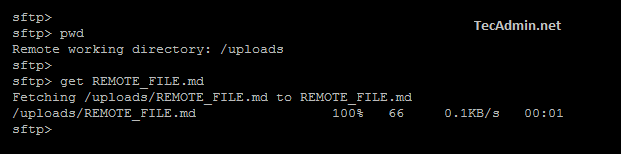 sftp command example tecadmin transfer working exit