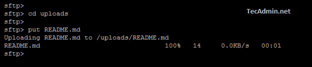 sftp command tecadmin line transfer working