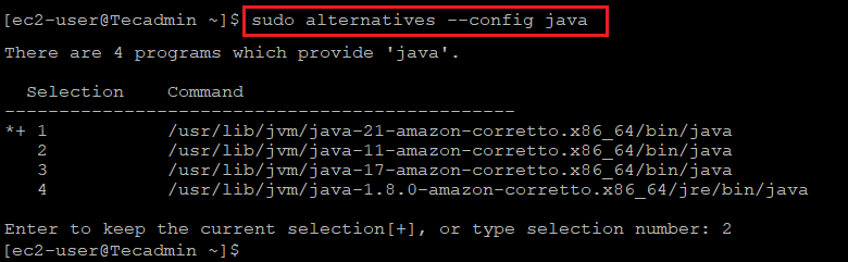 Setting the Default Java Version (Amazon Linux)