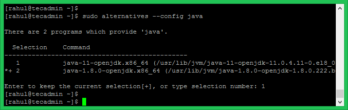 Installing Java on CentOS 8