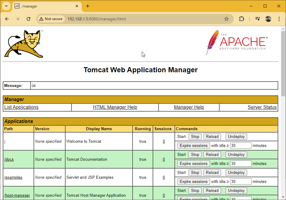 Securely Allow Remote Access to Tomcat Manager