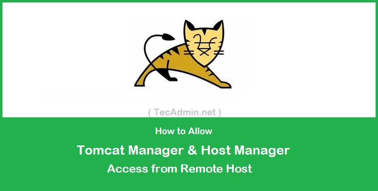 how to allow tomcat manager access from remote host
