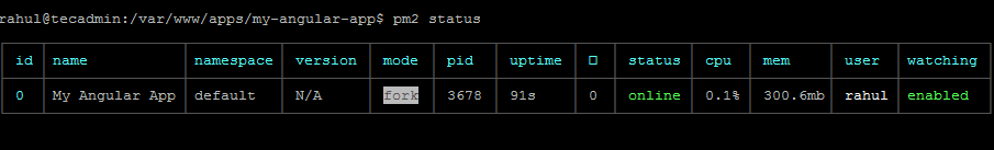 Deploy an Angular Application with PM2   TecAdmin - 55