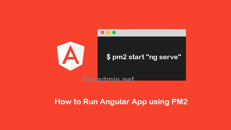 How to Run Angular App with PM2 – TecAdmin