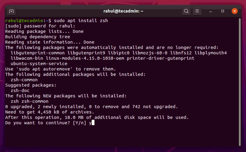Installing ZSH on Ubuntu 20.04