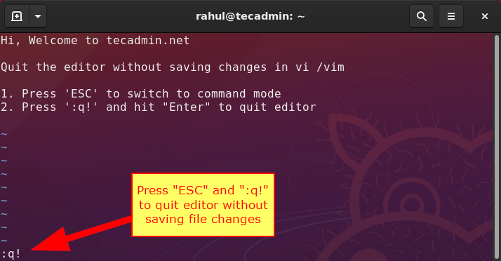How to Quit vim editor without save changes