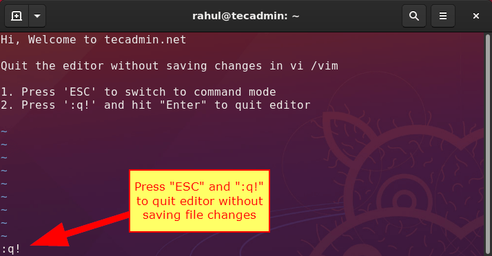 How To Exit Vim Editor In Terminal