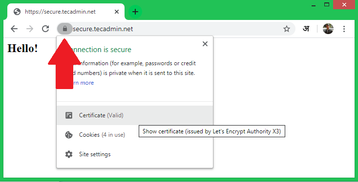 How to Setup Let s Encrypt Certbot on Ubuntu 20 04 TecAdmin - 17