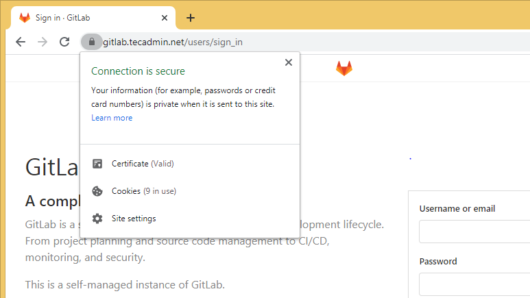 How to Secure GitLab Server with Let s Encrypt SSL   TecAdmin - 10