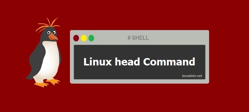 Linux head command with examples