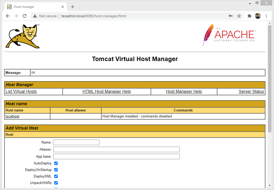 How to Install Tomcat 10 on Debian 10   TecAdmin - 8