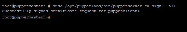 Puppet sign all client certificates