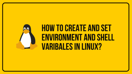 Shell and Environment Variables in Linux