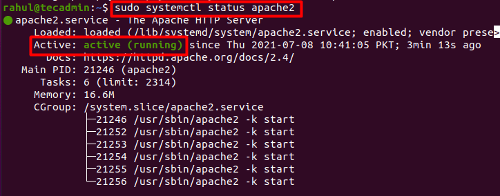 Apache Status for Roundcube Installation 