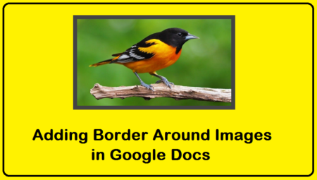 How To Set Border Around Images in Google Docs