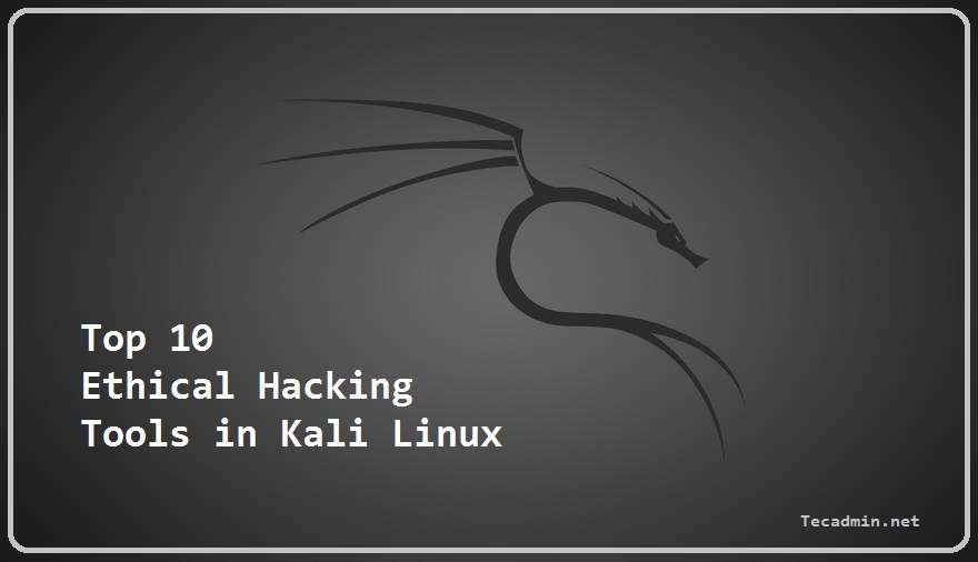 Top 10 Ethical Hacking Tools in Kali Linux